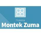 Montek Zuma