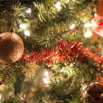 Diciembre de Navidad - El Arbolito Navideño