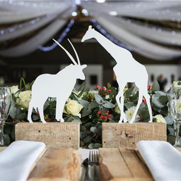 3 temáticas muy naturales para la fiesta de 15 años