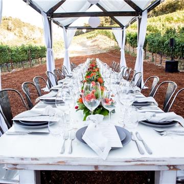 Bodas de ensueño en viñedos o bodegas