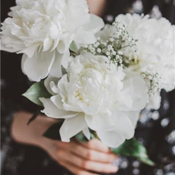 Ramos de novia: Peonías, Gardenias y Dalias