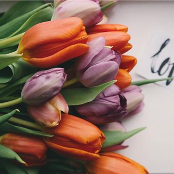 Ramos de novia: Jazmines, Azahares, Jacintos y Tulipanes