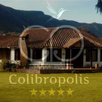 Colibropolis