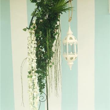 Chelo Eventos