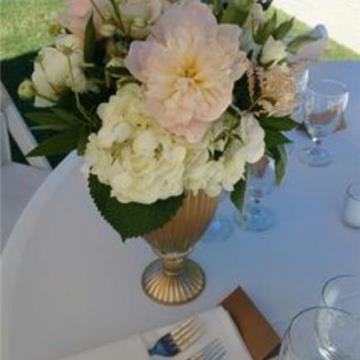 Evento Productora & Catering Verona CR
