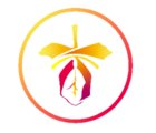 Cattleya: My events boutique