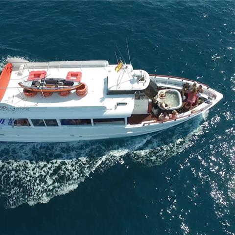Sea Experience