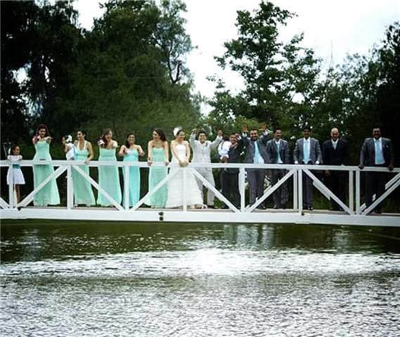 bodas
