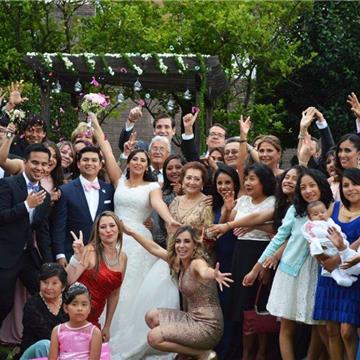 Festa Amore