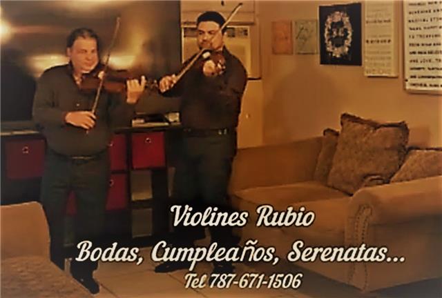 Rodeado preferir Hecho de Violines Rubio