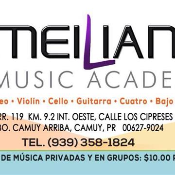 Meiliana Music Academy