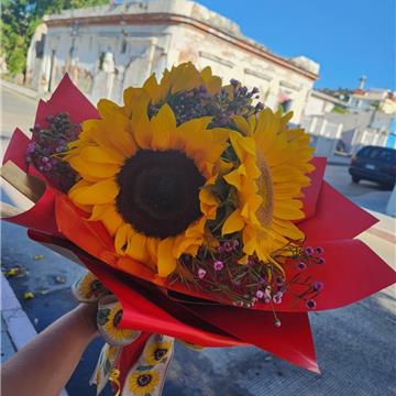 Flowers By Cm