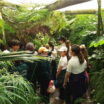 Parque Biomas